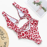 Danja Leopard Print Monokini