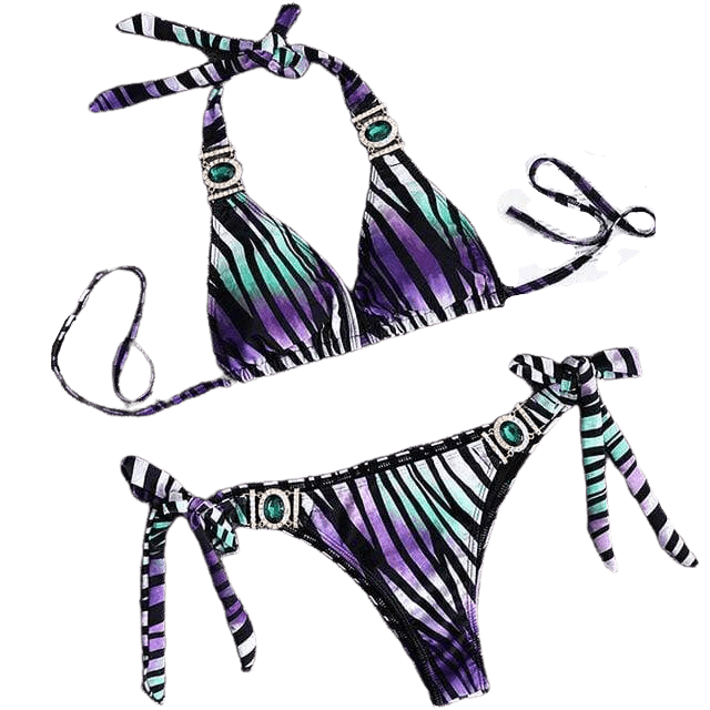 Flamingo Rhinestone Bikini