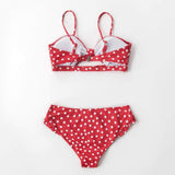 Phoenix Polka Dot Bikini