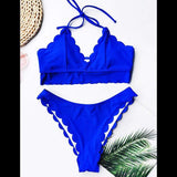 Indigo Scallop Bikini