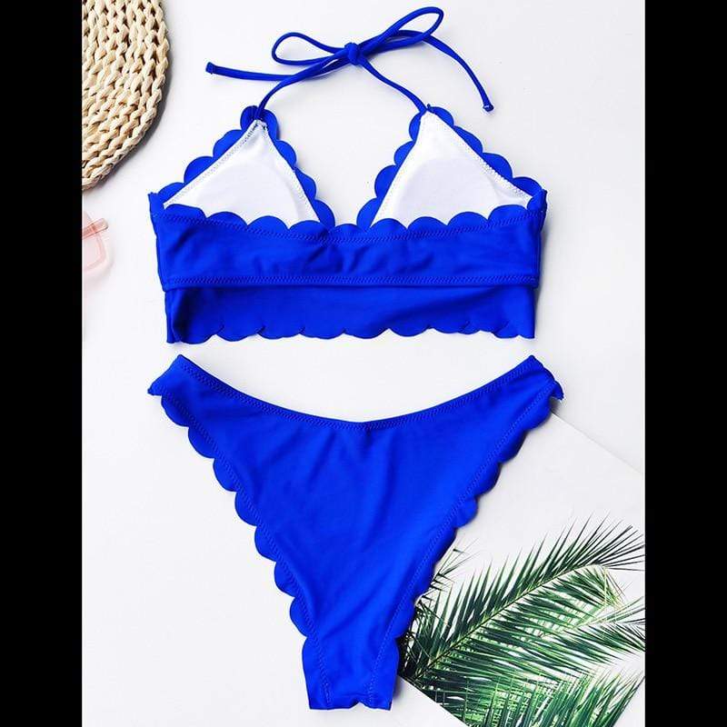 Indigo Scallop Bikini